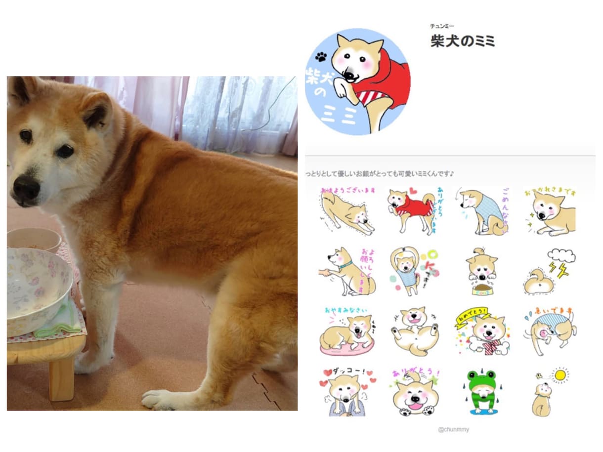 愛犬(ペット)の似顔絵LINEスタンプ作ります 写真を見ながら丁寧に描きます！世界に一つのオリジナル♪ イメージ3