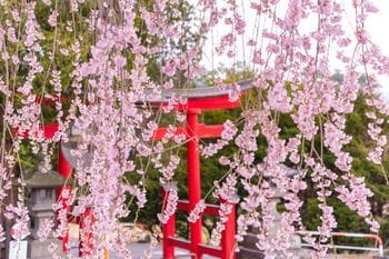 深掘り占い！あなたの性質も合わせて鑑定します 本来の自分を知りたい方、生き方を一致させて進みやすく イメージ4