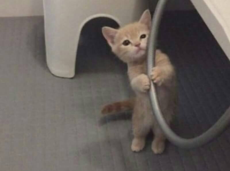 心に溜まった愚痴やもやもや、ありのままを聴きます ☆対人関係の悩み、積もり積もったストレスを抱えたあなたへ。 イメージ3