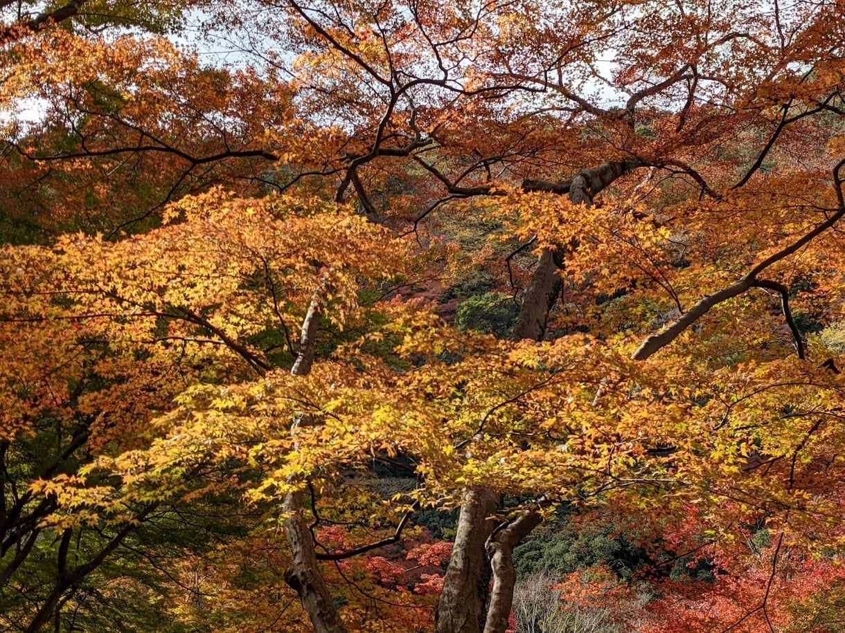 私でよければ伺います 周りに言えないこととか色々ありますよね。 イメージ3
