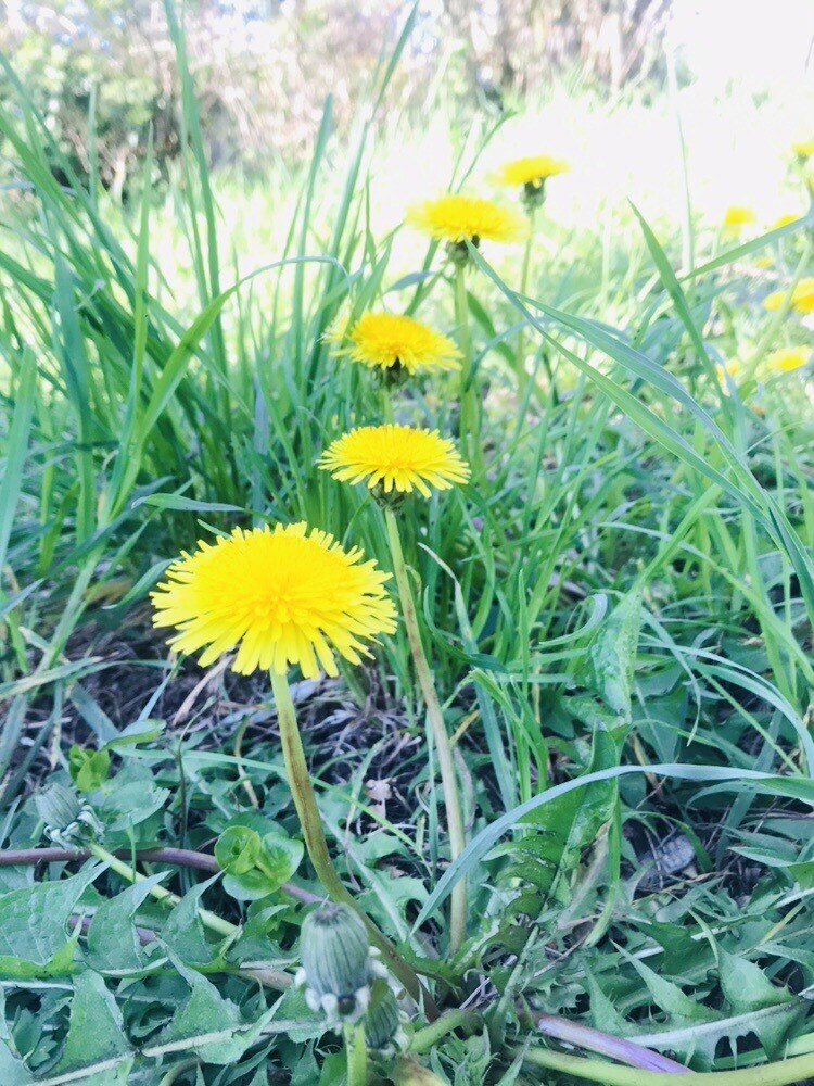 引きこもりでお悩みの方お話聞きます 引きこもり、またそういったご家族がいる方のお話お聞きします。 イメージ1