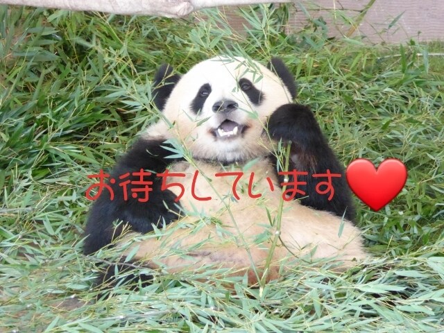 あまり無理しないで✨HSP繊細なあなたを応援します 孤独感/生きずらい/不安/緊張HSP(外交的)が寄り添います イメージ8