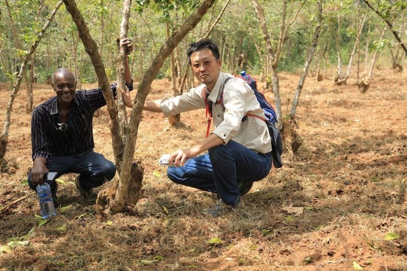 生豆輸入初心者向け！輸入実務完全ガイドします 輸入コスト削減、スムーズな生豆輸入を実現。商社実務経験あり。 イメージ2