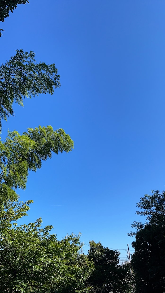 あなたに寄り添い、お悩みお聞きします お話終わった後は、心が楽になります。 イメージ3