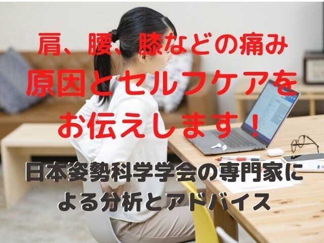 姿勢科学の専門家があなたの姿勢を診断します 姿勢の診断と改善のためのアドバイス！ イメージ1