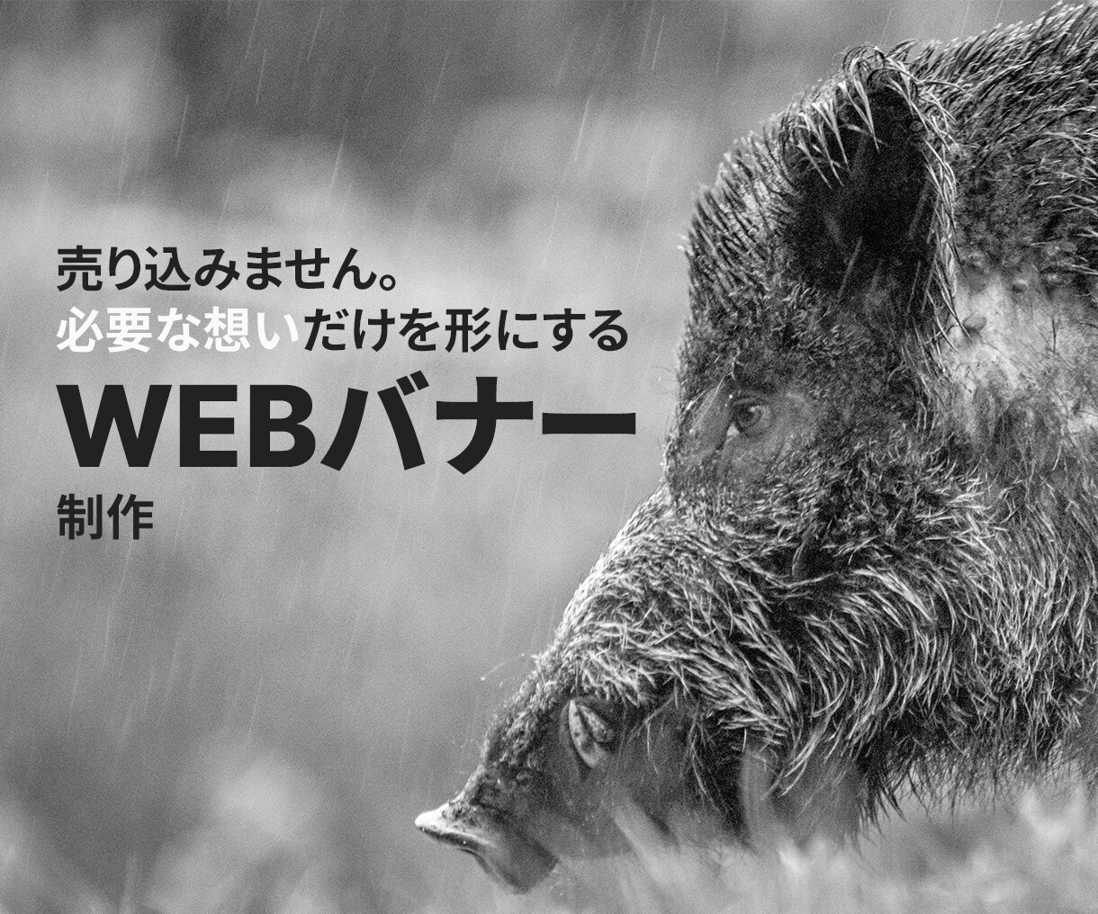 安売りせず、 価値で選ばれるバナー制作します 商品の背景まで伝え、 印象とブランド感を高める、限定10枚! イメージ6