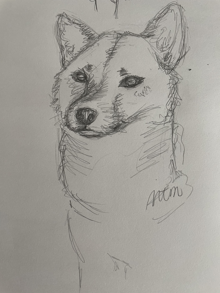愛犬の似顔絵にお花や植物を添えます 愛犬の似顔絵に、お花や植物を融合させて描きます。 イメージ3