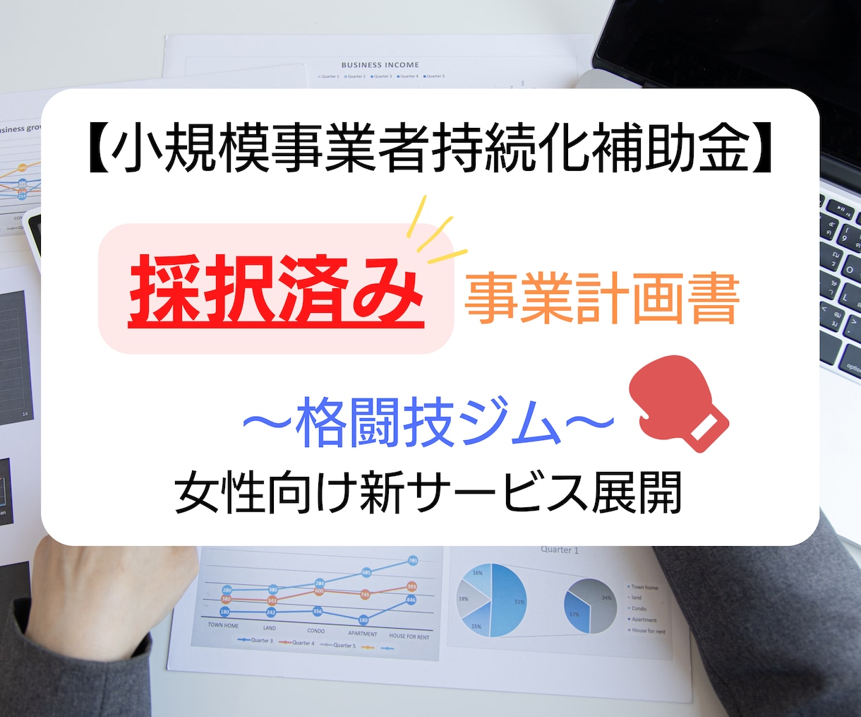 格闘技ジム★持続化補助金採択書類をお譲りします 採択済みの事業計画書を【テンプレート】としても利用できます！ イメージ1