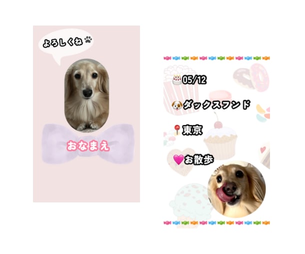 オーダーメイド！ペット名刺のデザイン制作します うちの子を自慢出来ちゃう世界に一つだけの名刺！ イメージ3