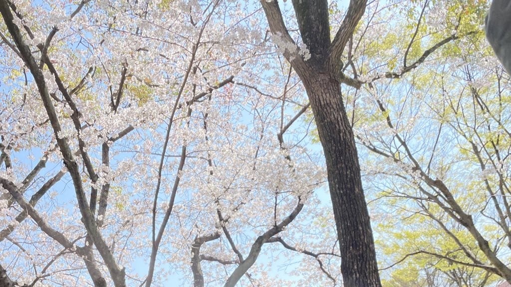 紅守オウカ様専用出品になります ご依頼内容の確認お願いいたします！ イメージ1
