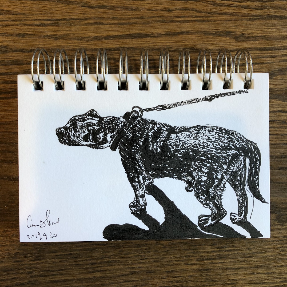 動物の似顔絵とイラストを描きます 色鉛筆とアーティストペン、どちらでも描けます！ イメージ6