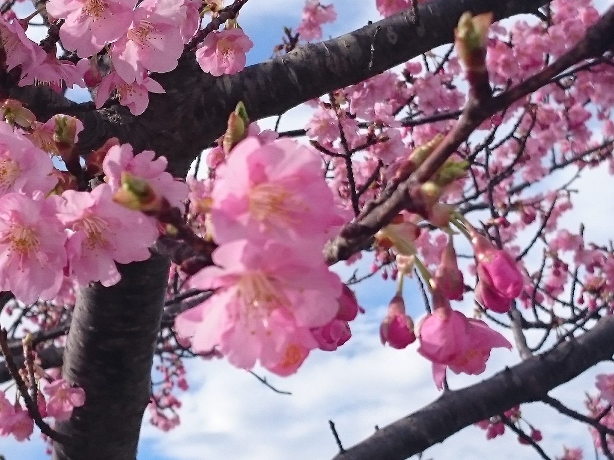 ひとりじゃないです。あなたの側にいます 心のスタミナ補給しませんか(○´ω`○) イメージ7