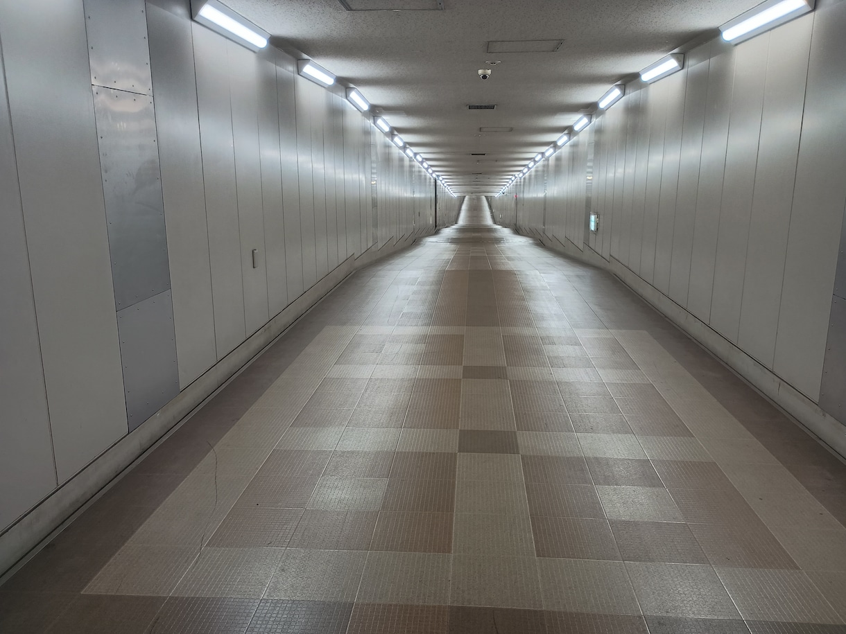 成田空港とLCC国内線の使い方を教えます 出発前・到着後・飛ばない日まで現地ガイドが30分解説 イメージ9