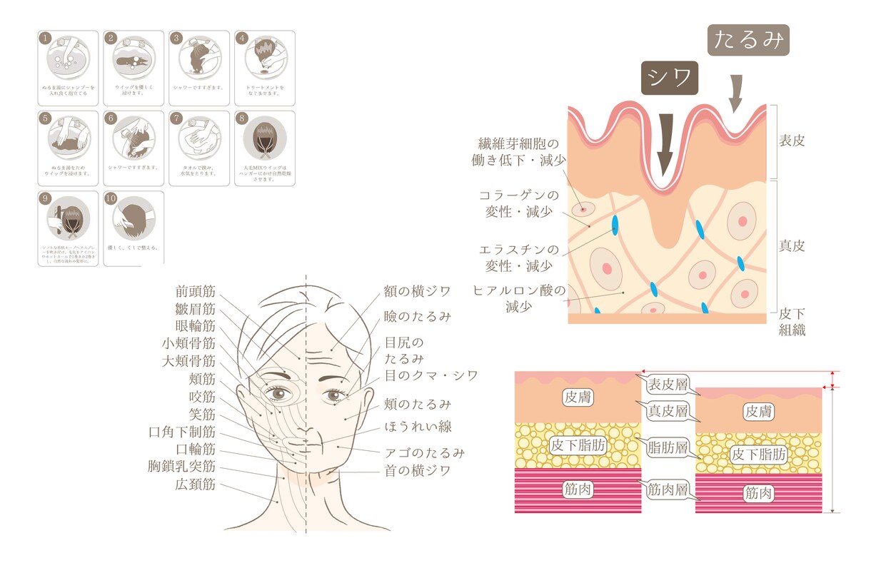 イラストの説明書作成いたします ミニマルで洗練された説明書をお作り致します！ イメージ10