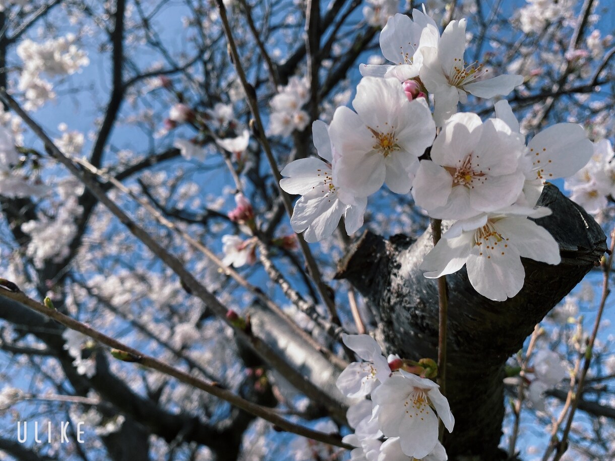 あなたのお話、なんでも聞きます あなたの抱える苦しみ、喜び、悩み、なんでもお話ください。 イメージ1