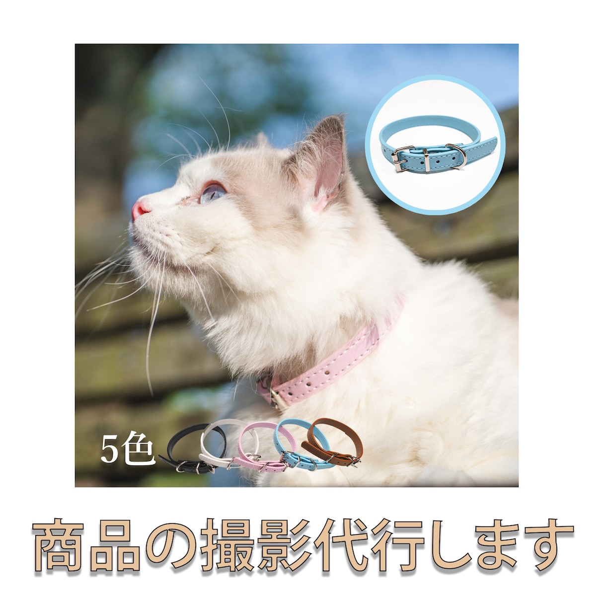 カメラマンによる商品画像の撮影代行を行います 商品画像撮影代行 1商品(10枚まで)　8000円 イメージ1