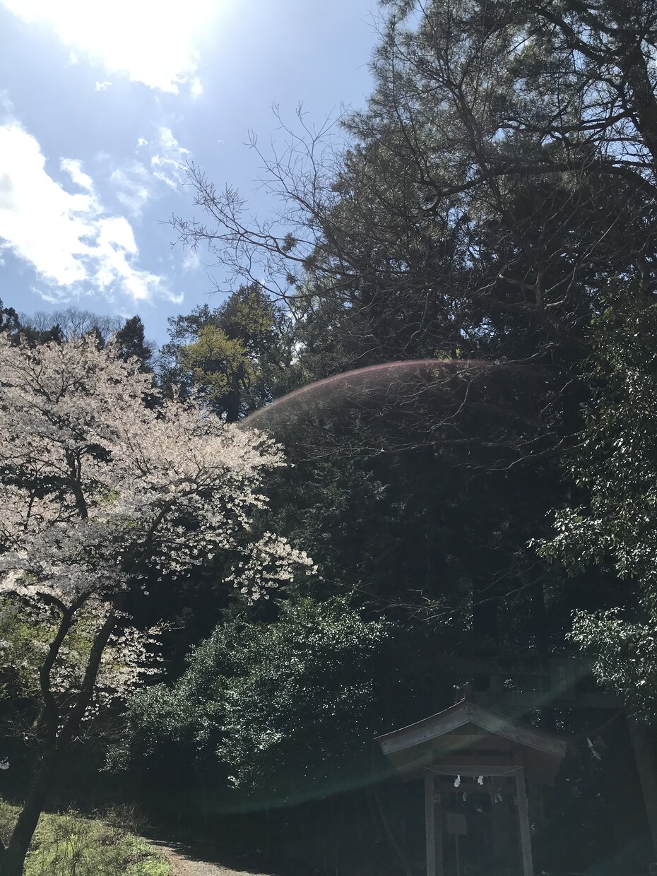 さくちゃんの恋愛相談室 お話聞きます ちょっとだけあなたの心の中除きます♪ イメージ2