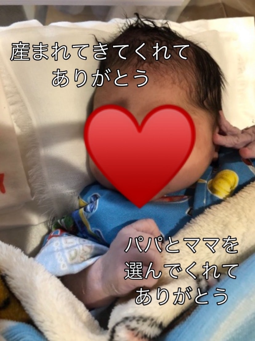 妊娠から出産までの感動的な動画を作ります 歌詞動画ではなく、名言や詩などが入った動画です イメージ1