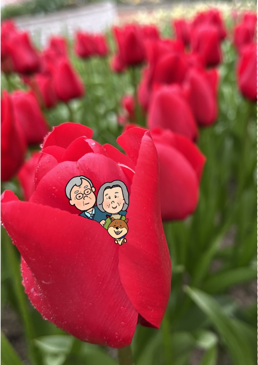 思い出のお写真の中にお好きなイラストお描きします ウェディングアイテム・記念日や誕生日にもぜひ！ イメージ5