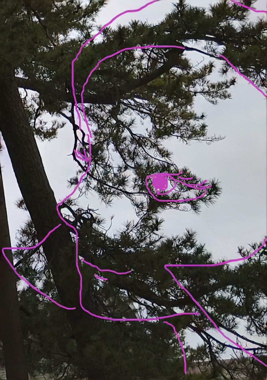深層多層に写真をリーディングします 一枚の写真に宿る声を、丁寧になぞり、深く読み解きます。 イメージ9