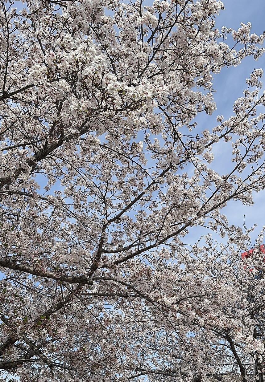 関西弁でも♥️あなたのお話聞きます 今夜はゆっくり♥️愚痴/雑談/話し相手にどうぞ✨ イメージ7