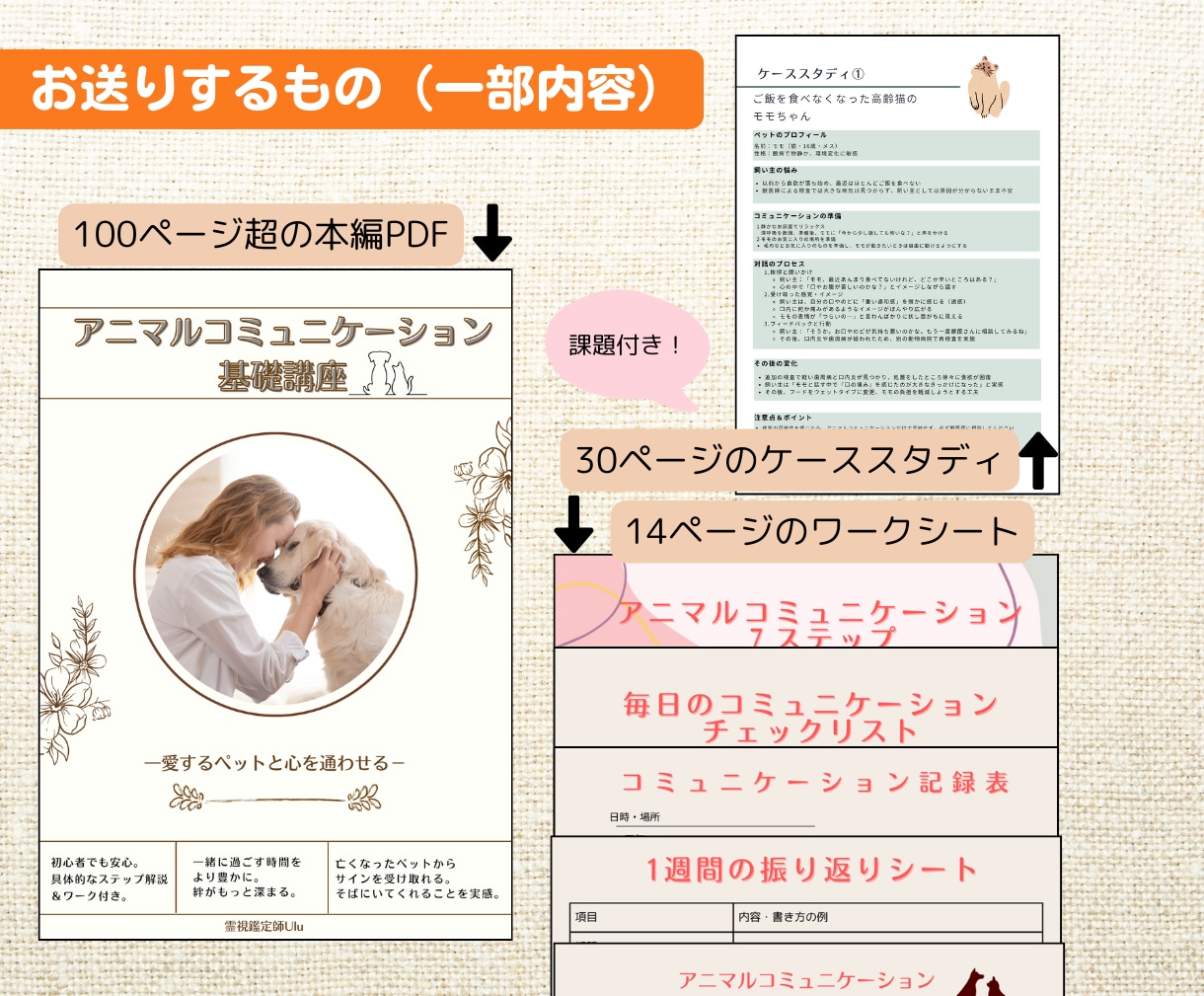 ペットと繋がるアニマルコミュニケーション講座します 愛するペットの声を聴きませんか？初心者でも可能な実践講座 イメージ3