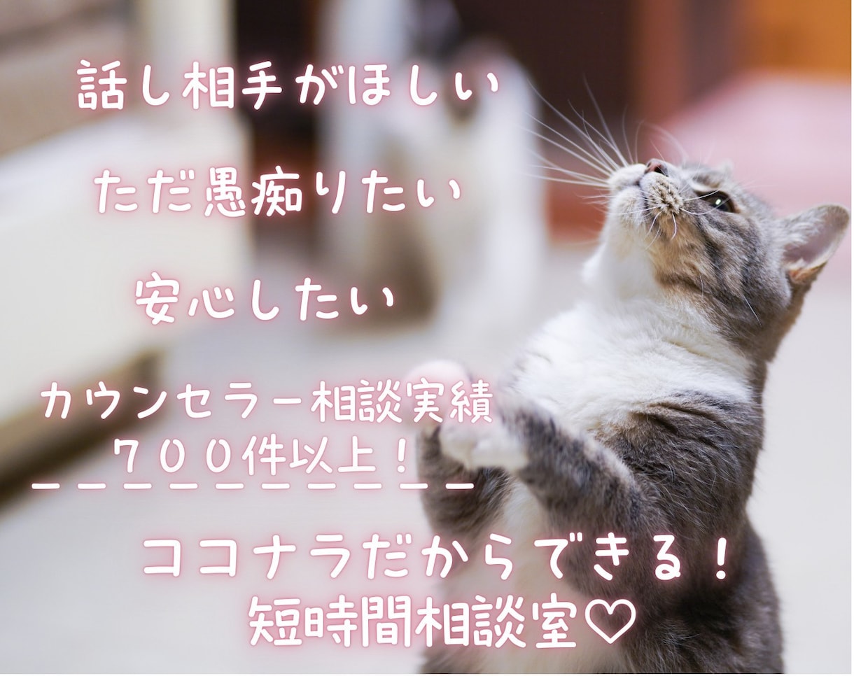 仕事や人間関係の愚痴、悩み、なんでも聴きます カウンセリングじゃなくて、なんとなく聞いてほしい！短時間OK イメージ2
