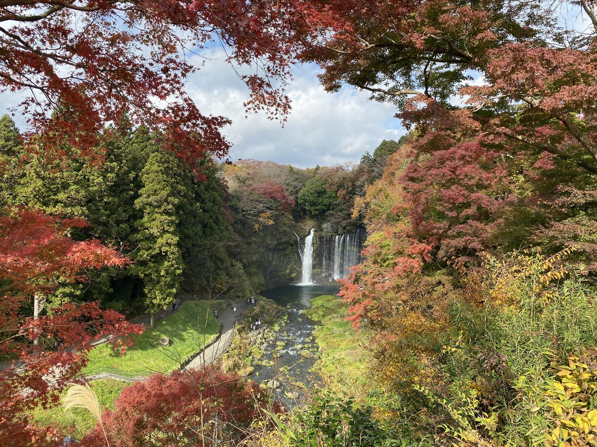 心体を整え自然におだやかに調律します 心体を自然な状態へ導く優しい整え、速さより丁寧に浄化します イメージ7