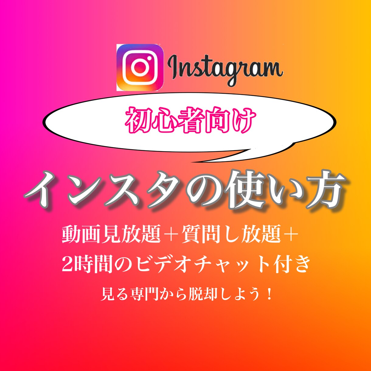 40代以降のインスタ初心者向け！使い方を教えます 13本動画/2時間のビデオチャット付/毎日質問し放題の1ヶ月 イメージ1