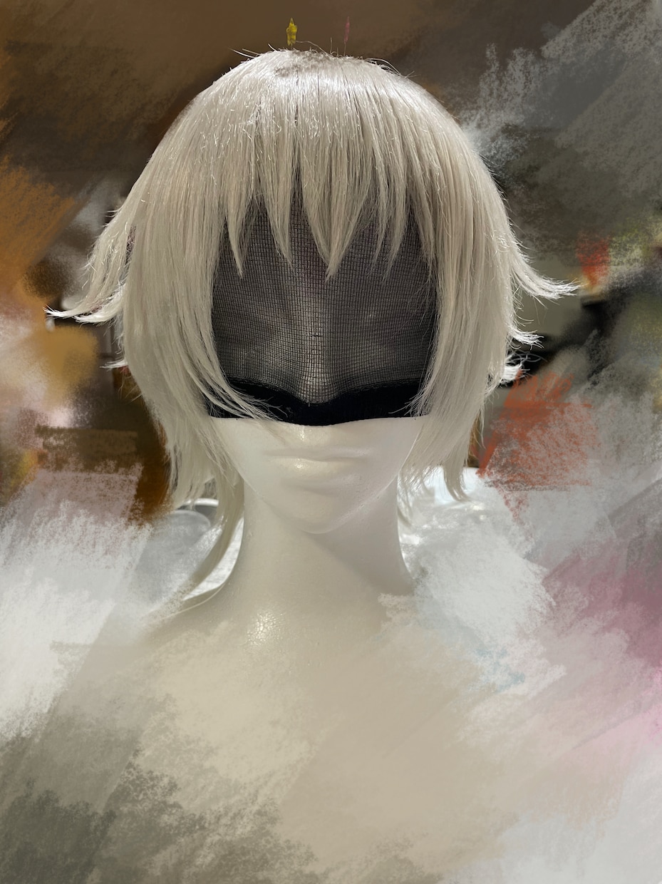 コスプレウィッグ・創作ウィッグなど作成します ナチュラルなウィッグが得意です！ イメージ5