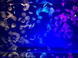 絶対喜んでもらえるデートプランをご提案します デートプランを考えるのが面倒、お困りのあなたへ イメージ4