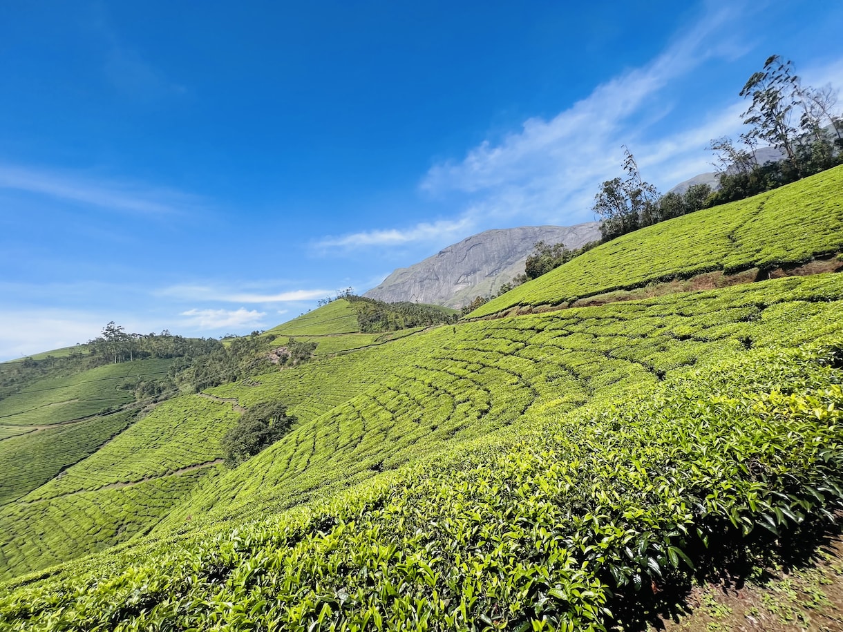 インド旅行が不安な方にレクチャーをします インドに計8回行ったことがある私がインド旅行をサポートします イメージ7