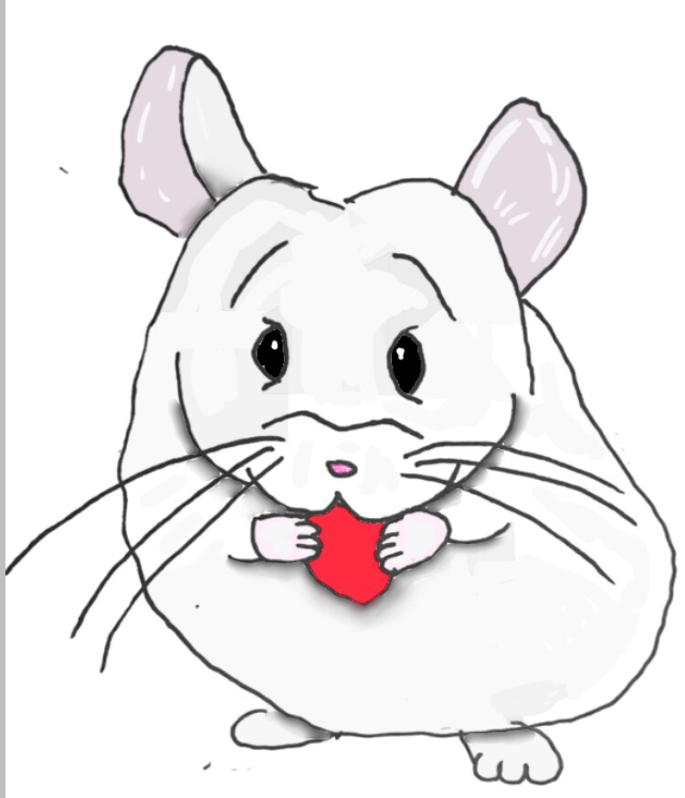下手っぴなオリキャライラストを2枚作成します 金をドブに捨てたい方向け！童貞ニートに仕事を与えよう！ イメージ2
