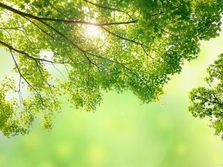 深呼吸して話しましょう！あなたの心を癒します どうしたら良いのかわからない時トークルームで話しましょう イメージ5