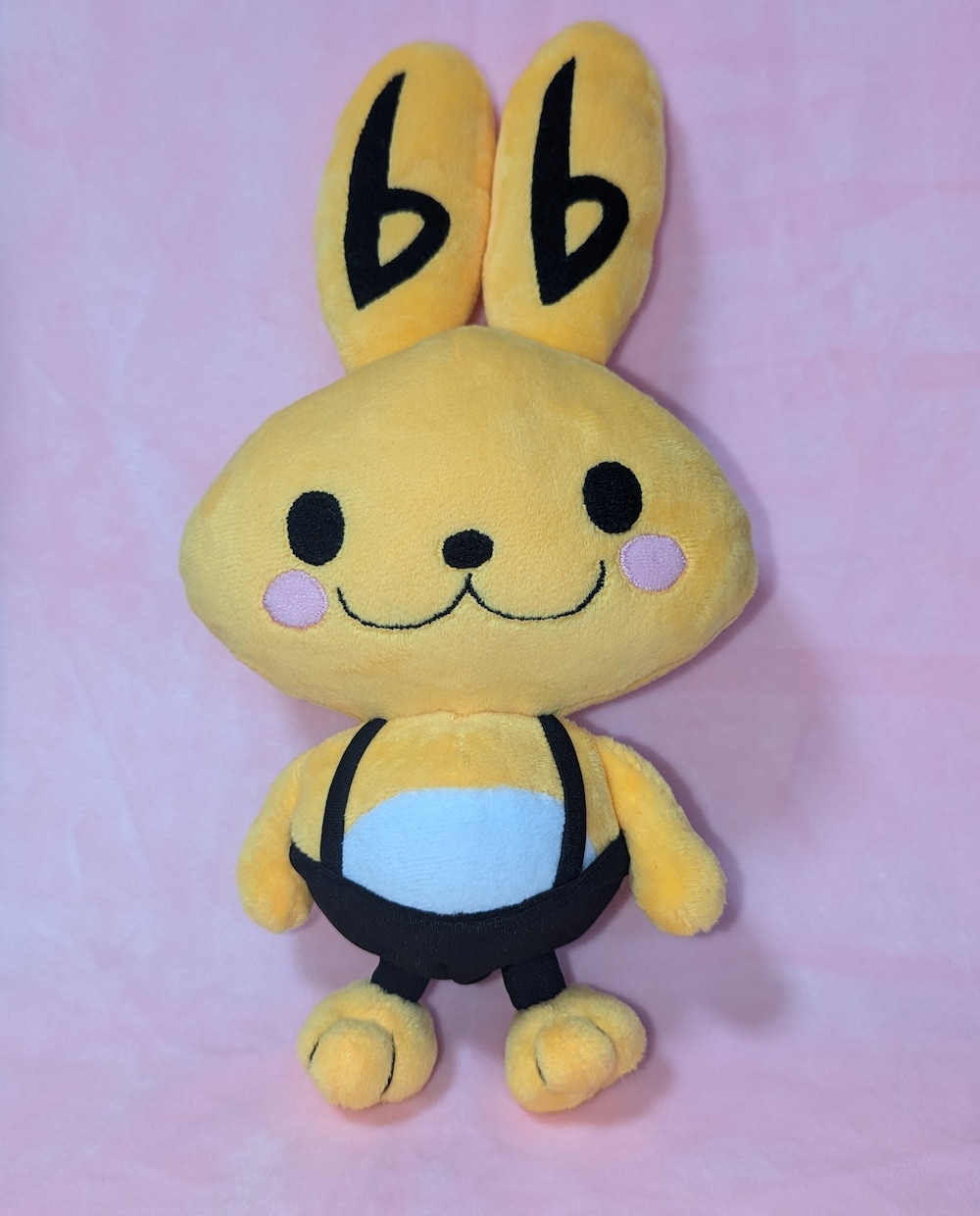 オリジナルぬいぐるみのオーダーお受けします あなたの「うちの子」を形に！HAPPYぬいLIFE！ イメージ9