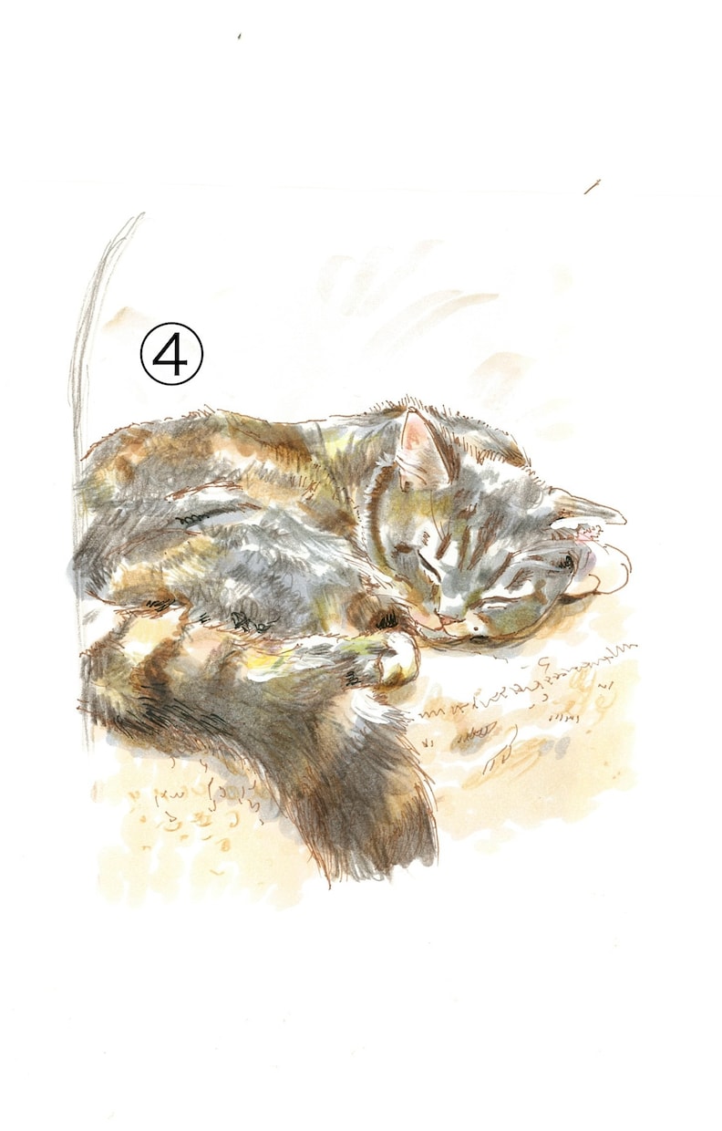お好きな絵柄で動物のイラストをお描きします ペットや動物をお好きな絵柄で、アナログイラストに仕上げます。 イメージ5