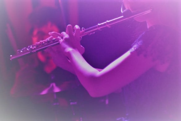 フルート演奏、音入れします 国内コンクール上位入賞、CD経験あり、金のフルートの音色です イメージ1