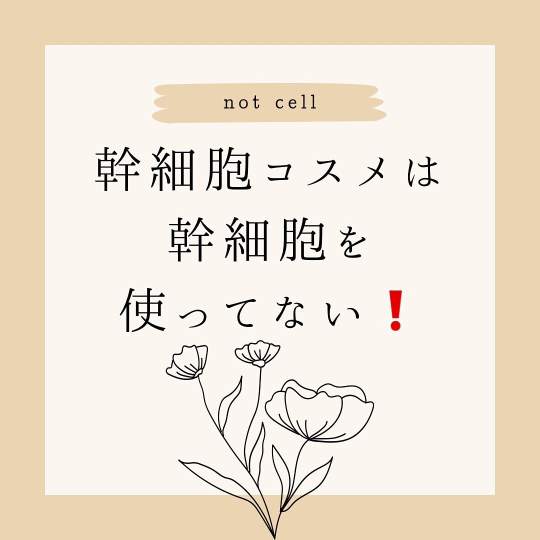 幹細胞コスメについて学術的に説明します 幹細胞の研究者による学術的視点 イメージ4
