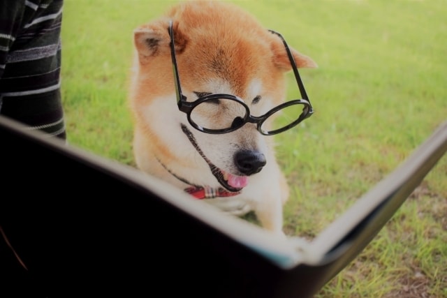 ストレスになっているその文書、代読します 【代読屋】代わりに読みます。一緒に話しましょう!! イメージ2