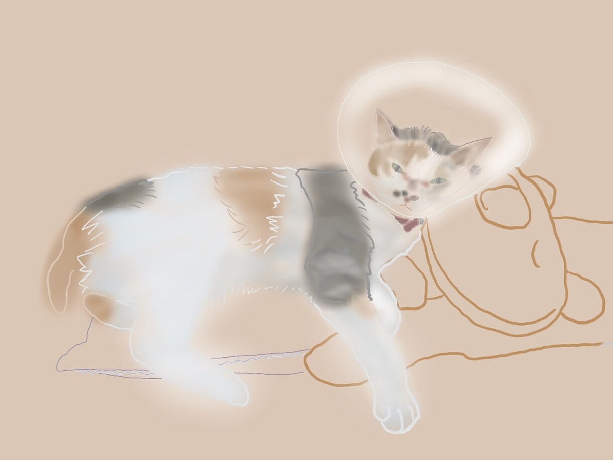 あなたのペットの似顔絵作成します トレースだからこそ出るあたたかみをお楽しみいただけます！ イメージ4