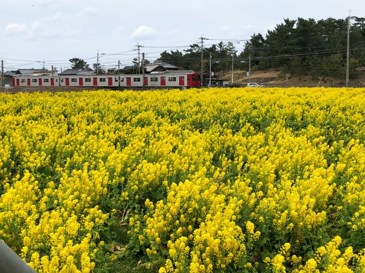 22歳女子が愚痴・悩み何でも聞きます 誰かに話したい愚痴や悩み、今日あったことなど何でも聞きます イメージ1