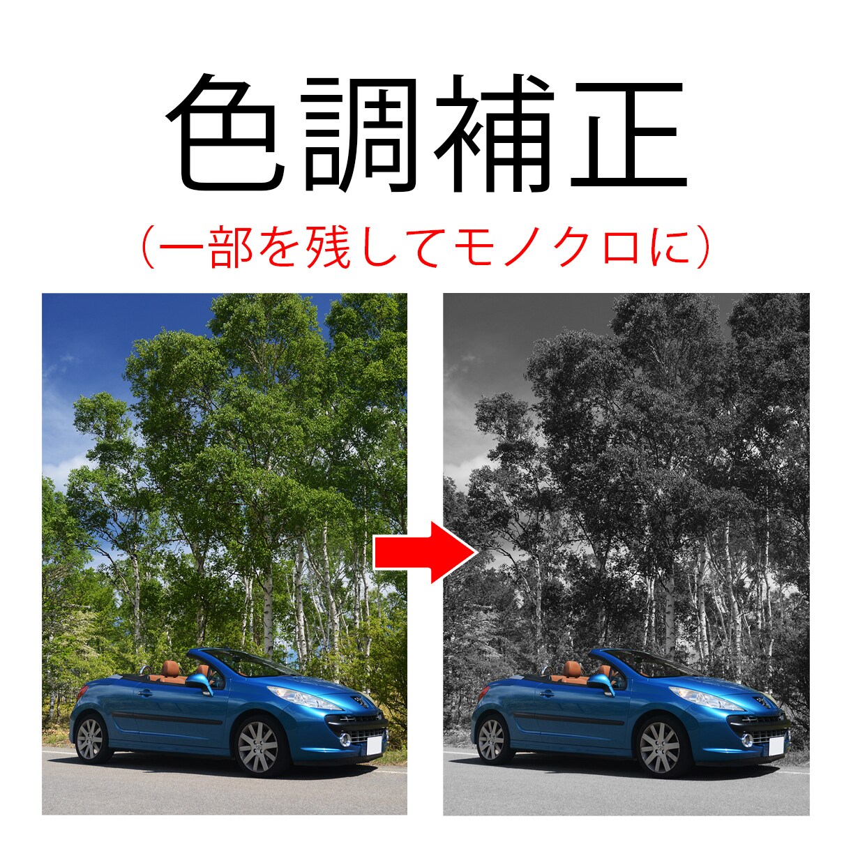 写真画像の色調補正を承ります 風景写真、商品画像などを鮮やかにして質感アップ！ イメージ3