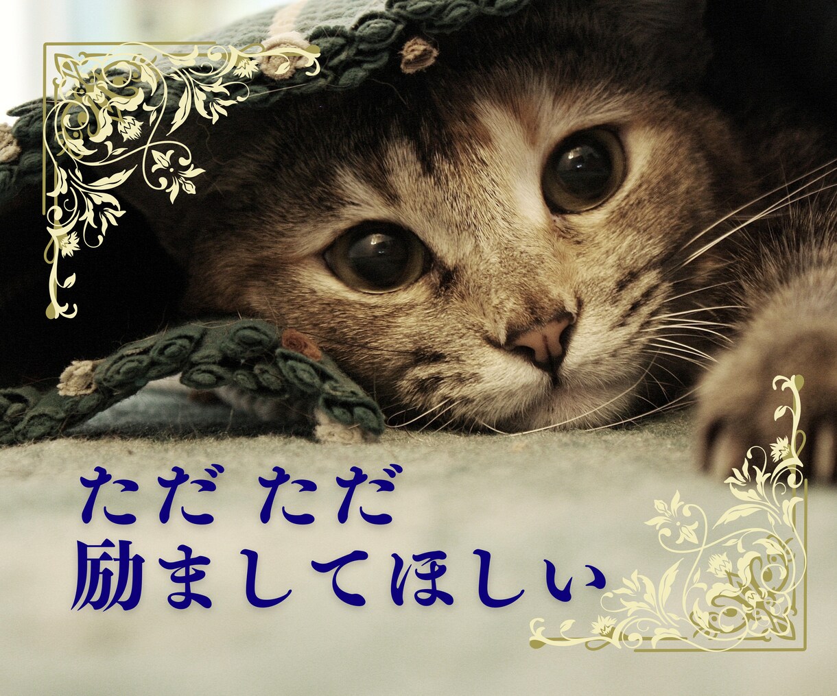 そばにいるよ。心を軽くする会話をします 抱えている思いを取り除いて♡心が前に進むお手伝いをします。 イメージ5