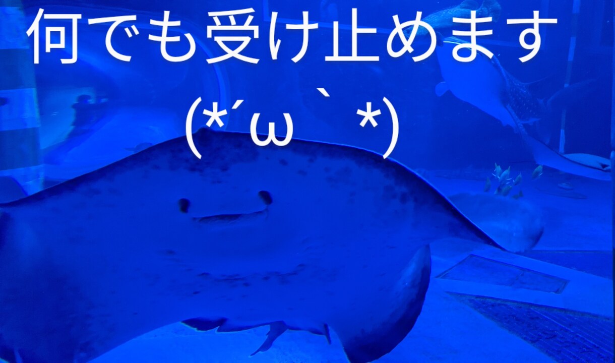 電話相談！5分間からでもお話聞きます いじめ、うつ病などの経験者が相談に乗ります イメージ4