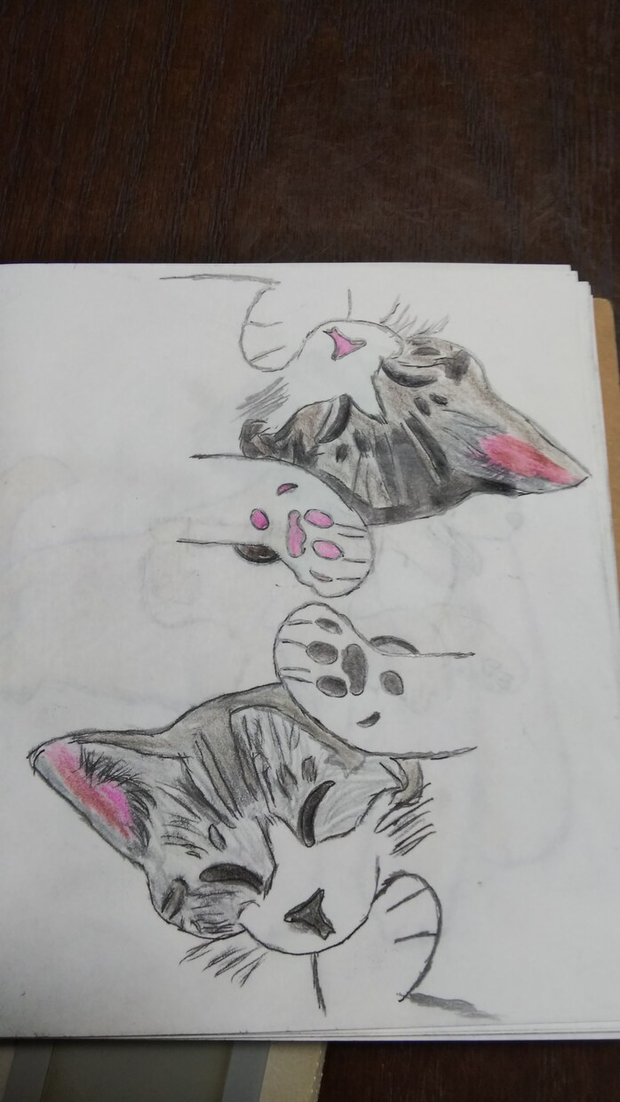 愛犬のイラスト、制作いたします 大切な愛犬をイラストに残しませんか。もちろん猫もOK！ イメージ3