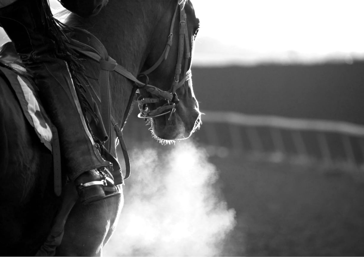 競馬投資法を伝授します まずは回収率をご覧ください！メッセージにて対応します！ イメージ1