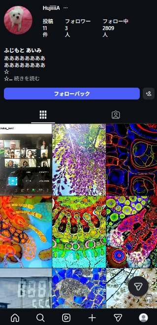 IG:日本人フォロワー獲得を支援します Instagram／即席型／見栄え重視 イメージ2