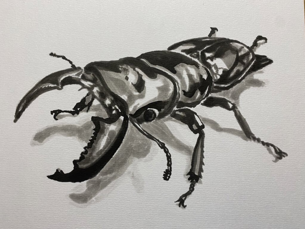 昆虫/奇蟲/魚類/動植物のイラスト制作できます ちょっと変わった生き物が好きで、供給が少なくて悩んでいる方へ イメージ3