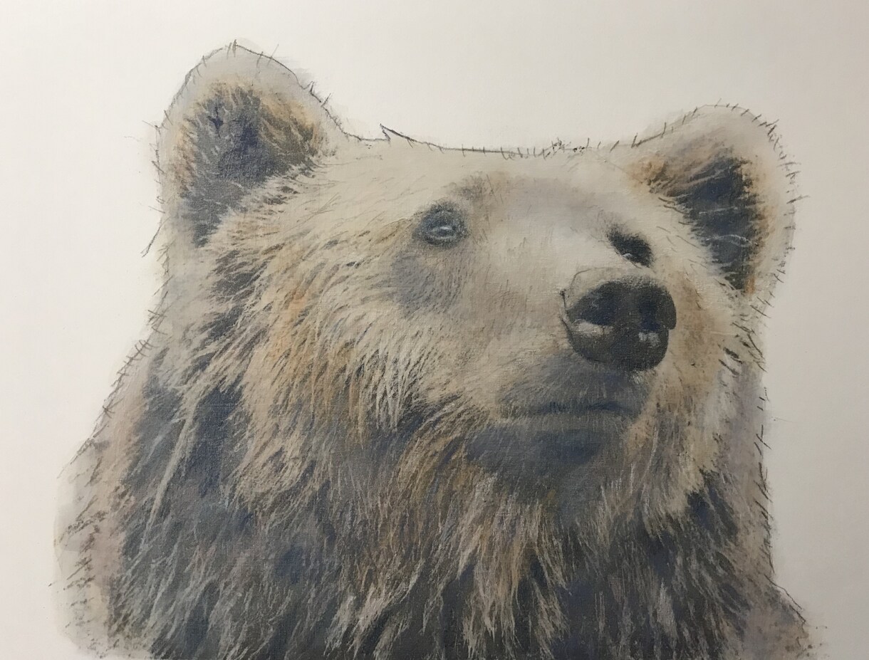 動物や人物、風景などのパステル画で描きます 写真を元に自分なりの色合いで、写実的にパステルで描きます！ イメージ5