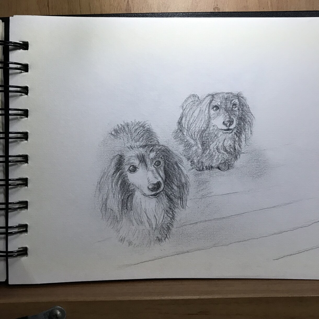 モノクロ　あなたの家族のネコさん、描きます 性格や個性が現れるよう、モノクロの静の雰囲気が好みの方に。 イメージ4